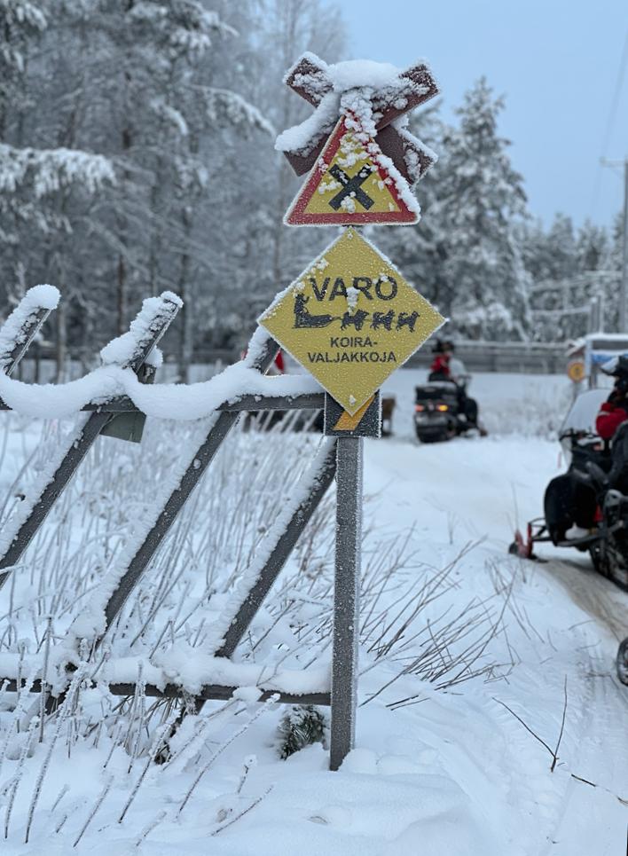 motos de nieve en laponia rovaniemi