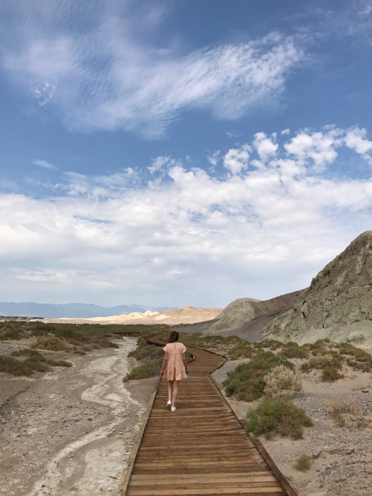 Salt Creek Trail Death Valley