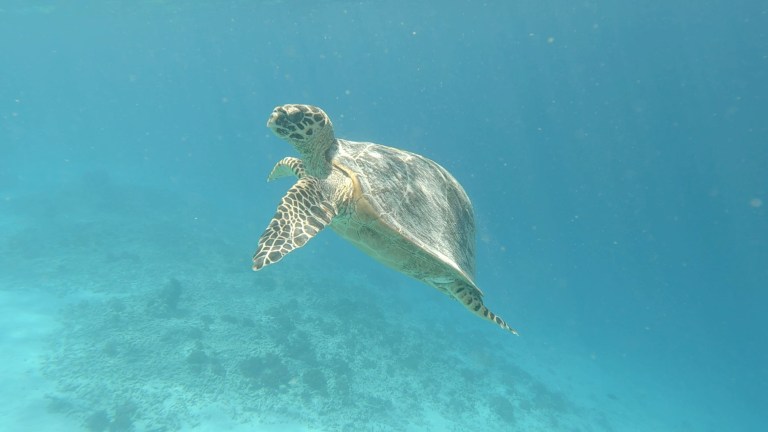 Gili Air 