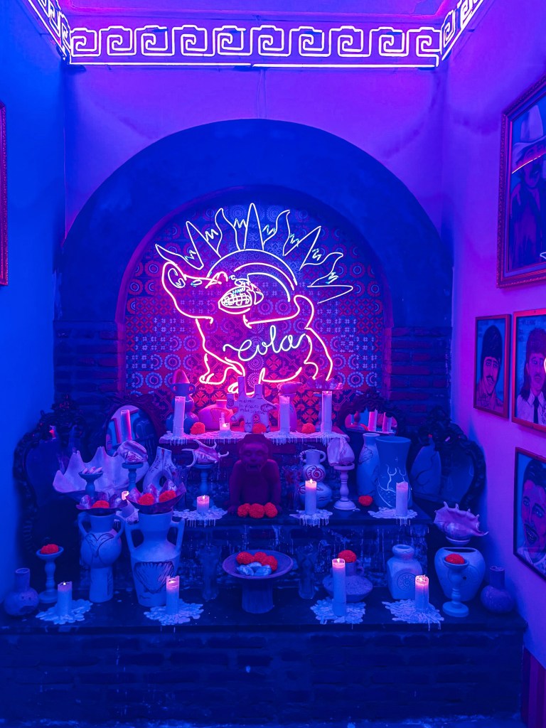 Motel Mexicola